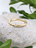 Ring "Ringlein 1" Gold Diamant Ring "Ringlein 1" Gold Diamant