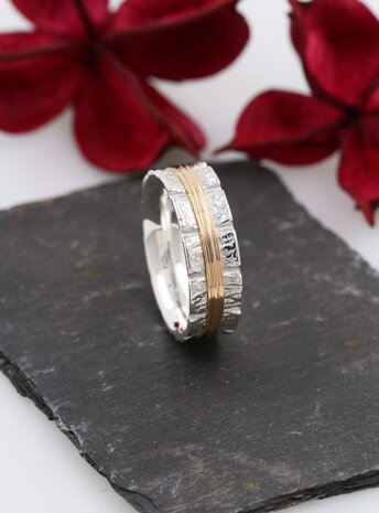 Bond: Ring aus 925er Silber und 750er Gold