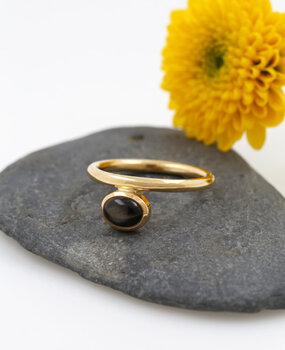Ring "Ringlein 2" Gold Sternsaphir Ring "Ringlein 2" Gold Sternsaphir
