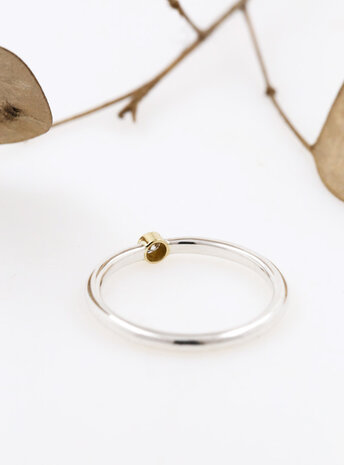 Ringlein 1: Bicolor Ring aus 925er Silber, 750er Gold und Diamant