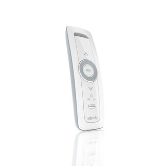 Somfy Somfy Situo 1 variation Soliris RTS, Pure II