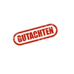 Ducati Gutachten