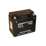 Intact Bike Power Batterie GEL YB16-B