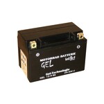 Intact Bike Power Batterie GEL YTX9-BS