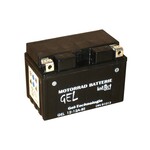 Intact Bike Power Batterie GEL YTX12A-BS