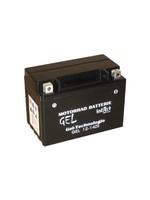 Intact Bike Power Batterie GEL YTZ14-S