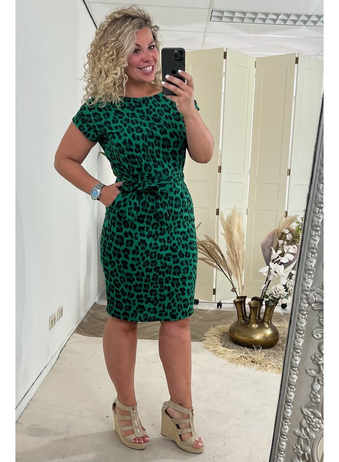 Leopard Strik Dress - Green