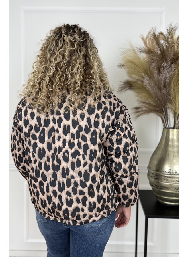 Short Puffer Coat - Leopard/Black