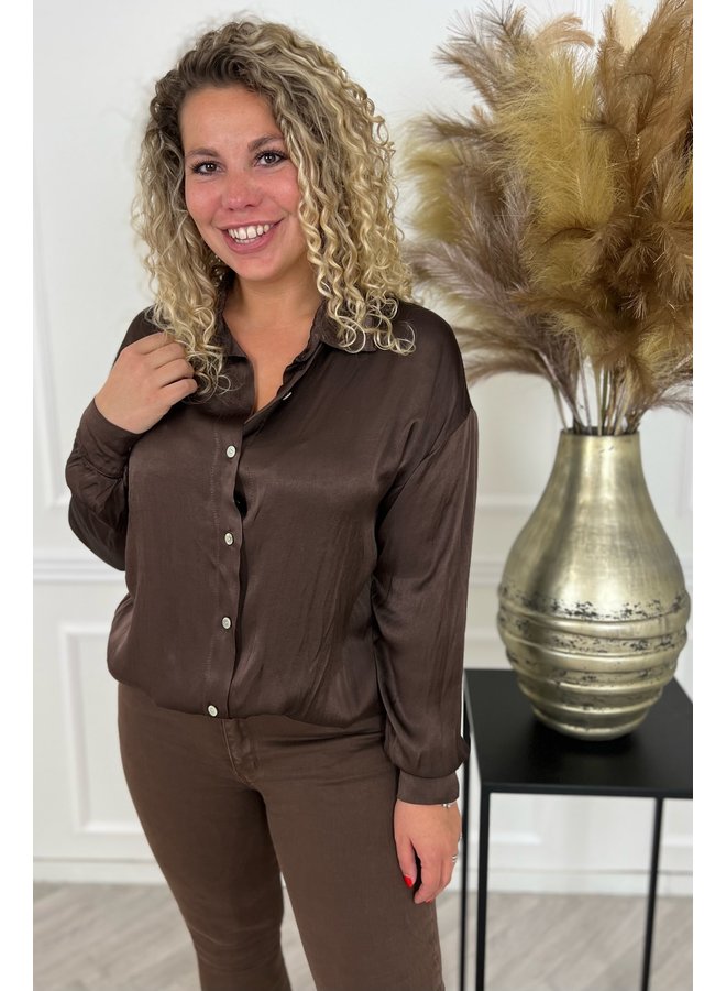 Classy Curvy Silky Blouse - Brown