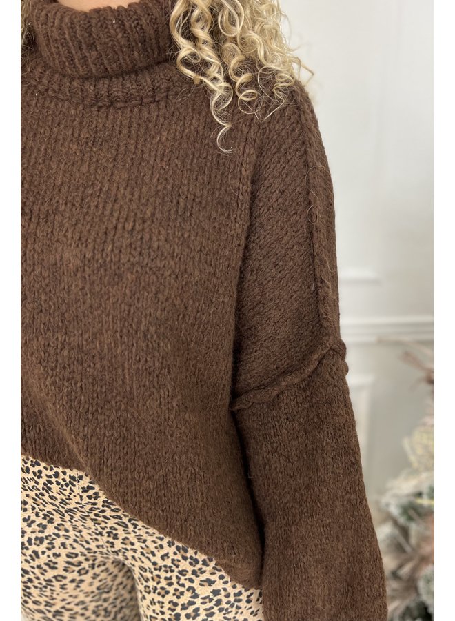 The Turtle Knitted Col Sweater-  Dark Brown