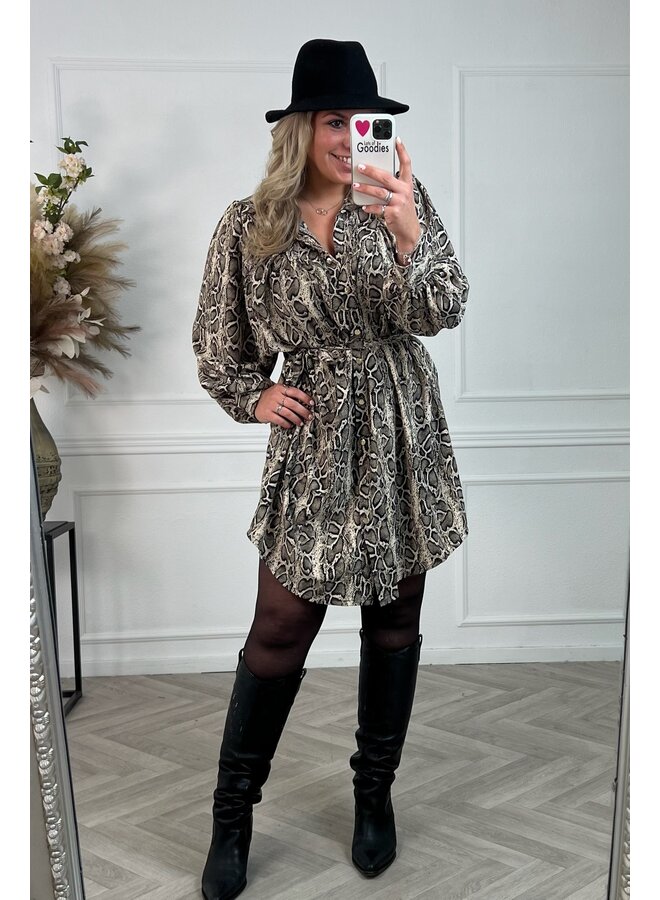 Curvy Snake Dress - Grey/Black