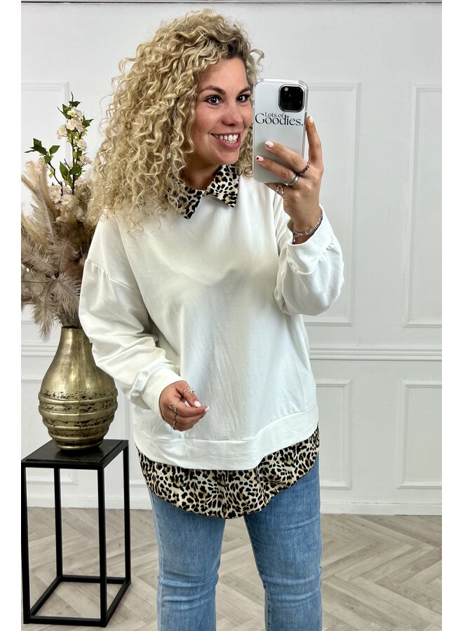 Leopard Collar Blouse Sweater - Off White
