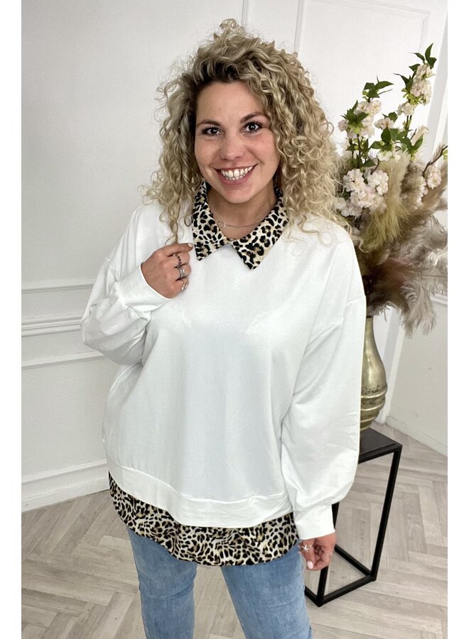 Leopard Collar Blouse Sweater - Off White