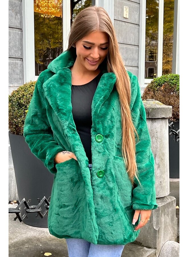 Paris Fake Fur Coat - Green