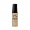 Absolute Cover Silk Foundation 4.5