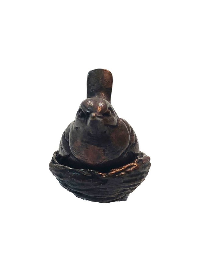 Wren on nest with eggs 39