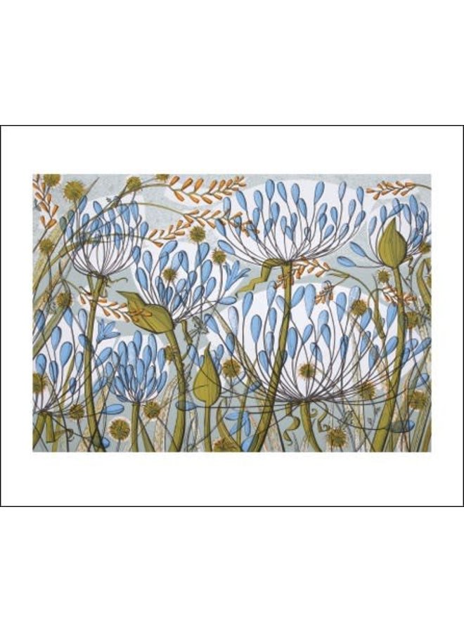 Agapanthus II card by Angie Lewin