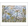 Agapanthus II card by Angie Lewin