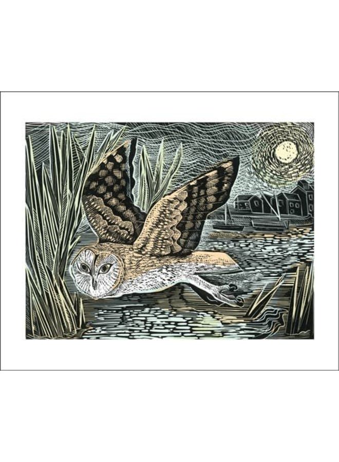 Marsh Owl by Angela Harding