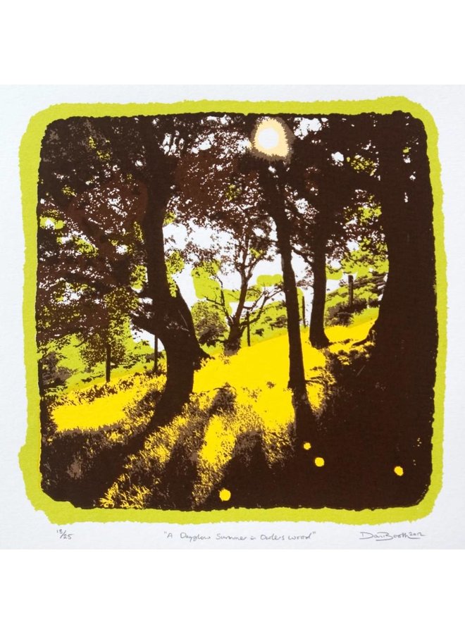 A Dayglow Summer in Owlers Wood Ed. 25