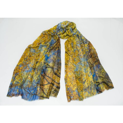 P J Studio Summer Skies Modal and Silk Scarf P J Studio Summer Skies Modal and Silk Scarf