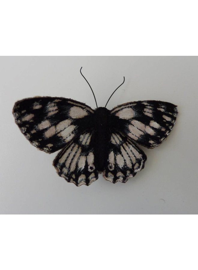 Marbled White British Butterfly Embroidered Brooch