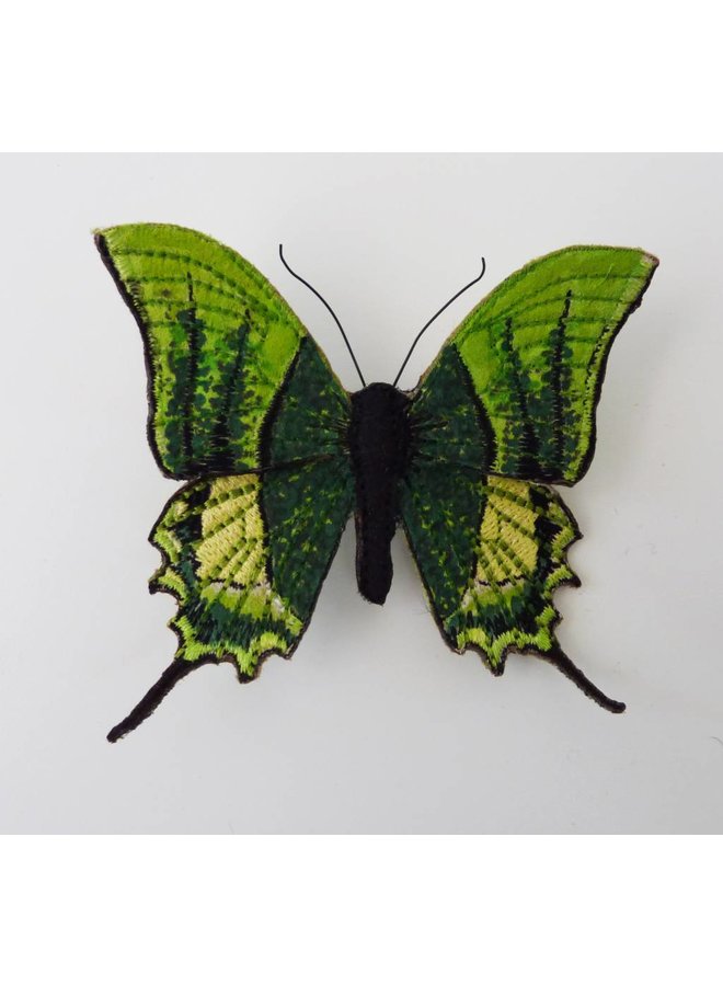 Broche bordado de mariposa en peligro de extinción Kaiser-i-Hind