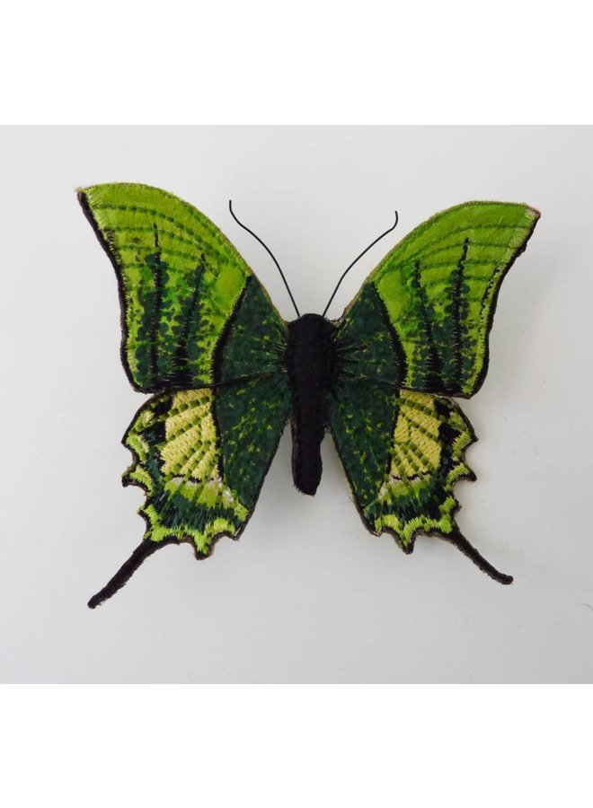 Broche brodée papillon en voie de disparition Kaiser-i-Hind