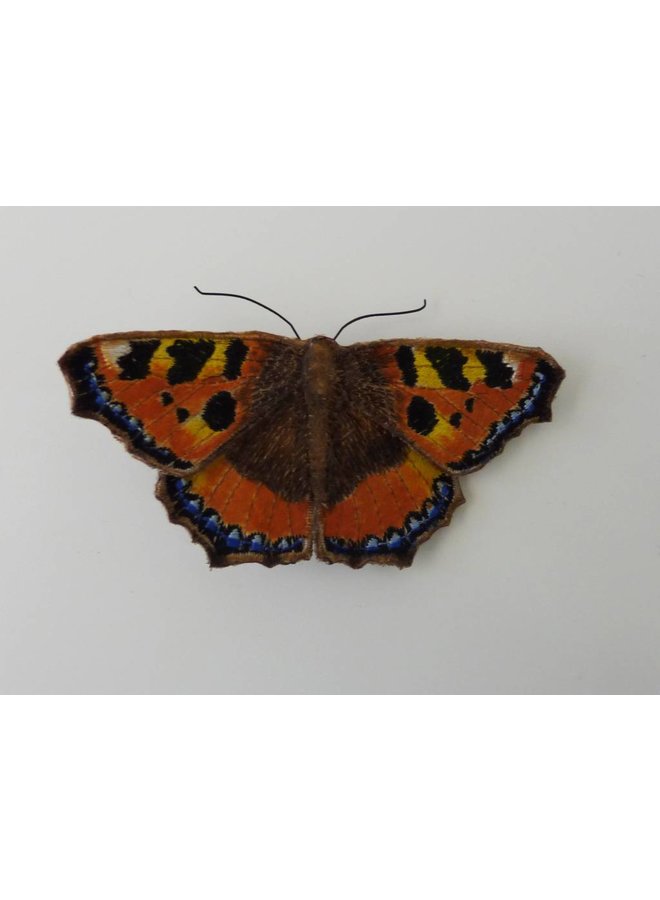 Broche bordado de la mariposa británica de la concha