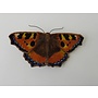 Tortoiseshell British Butterfly Embroidered Brooch