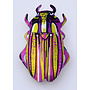 Pink and Green Beetle Brooch