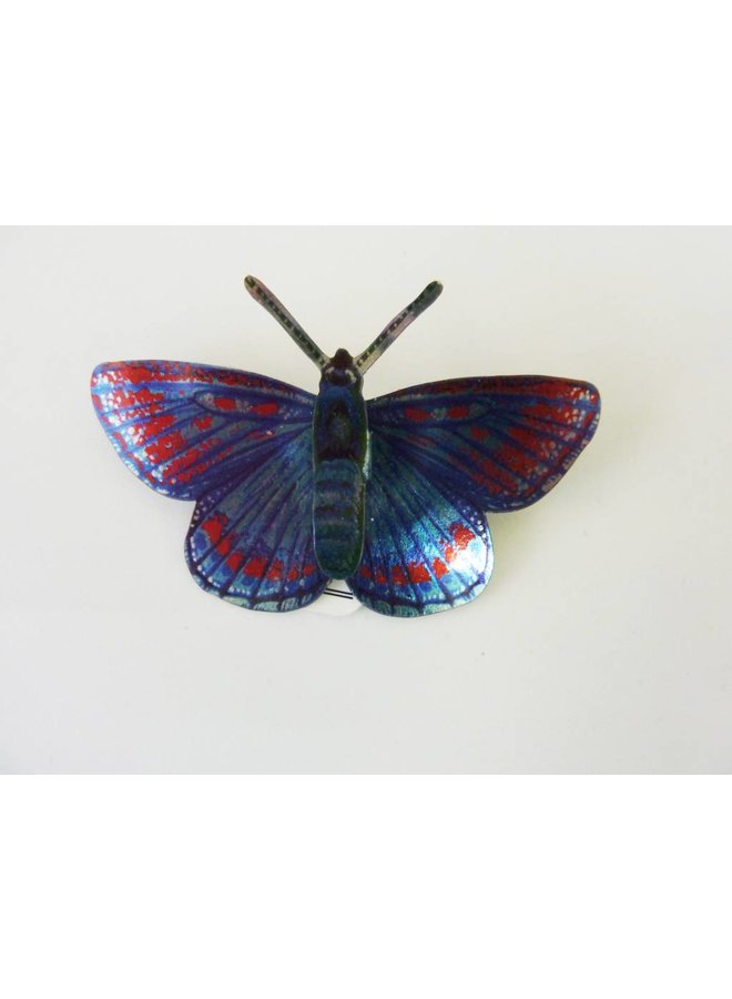 Butterfly Brooch BB12 71x46mm
