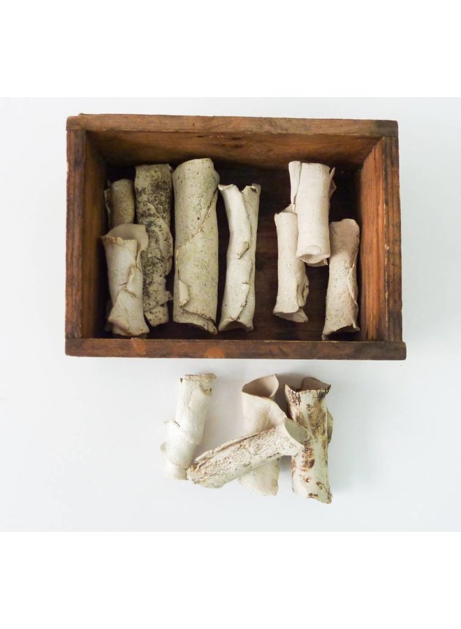 Box of Bones