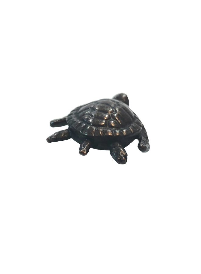 Turtle 21