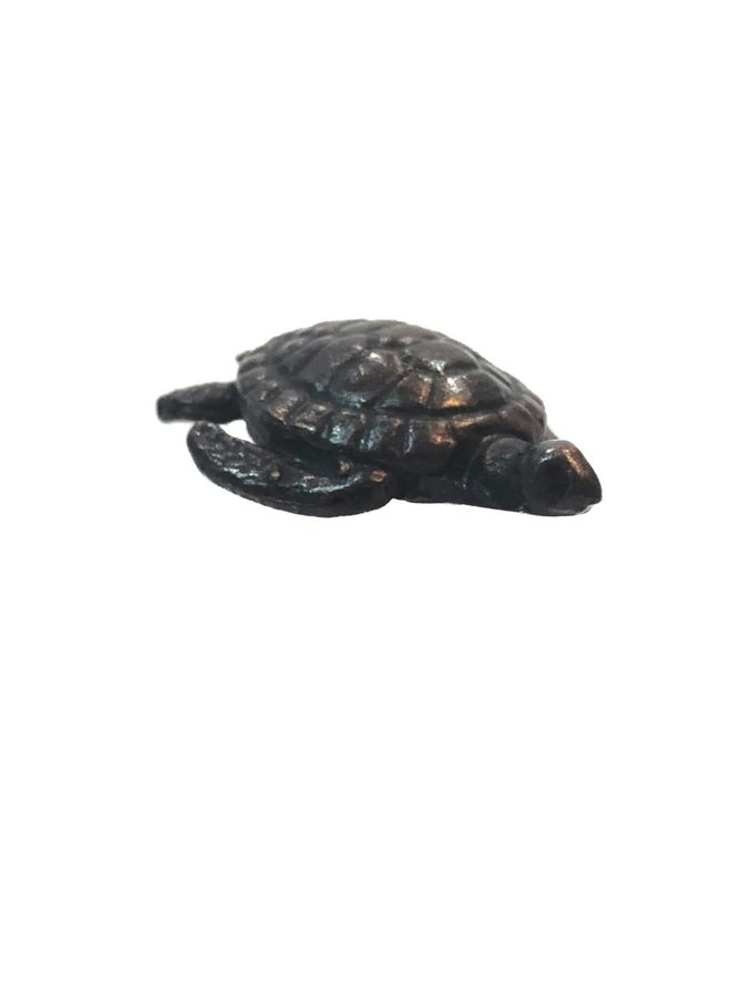 Tortuga