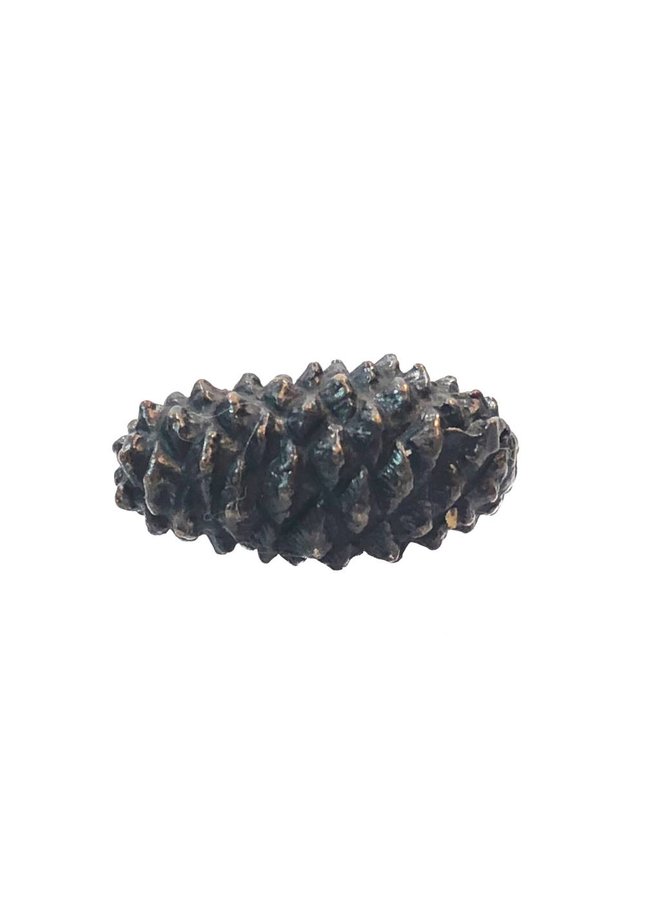 Pine Cone 59