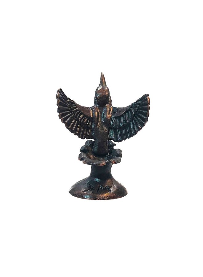 Eisvogel verlässt Wasser