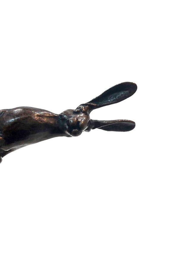 Hare sitting bronze 14