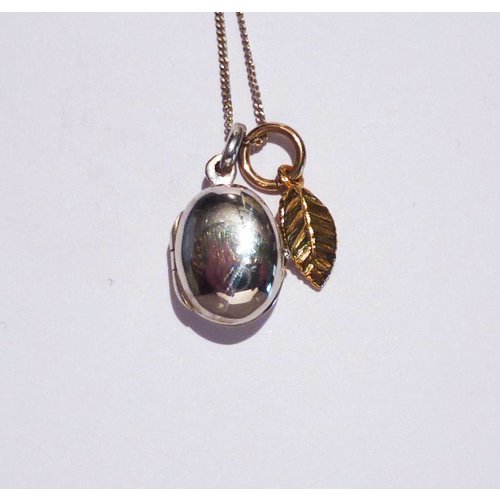 Lime Tree Design Oval locket gold charm leaf necklace Lime Tree Design Oval locket gold charm leaf necklace