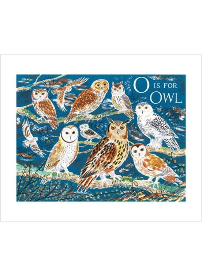 O is for Owl by Emily Sutton