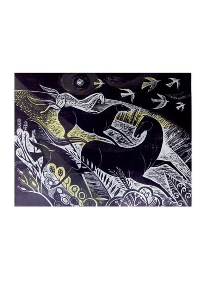 Night Flight by Sarah Young