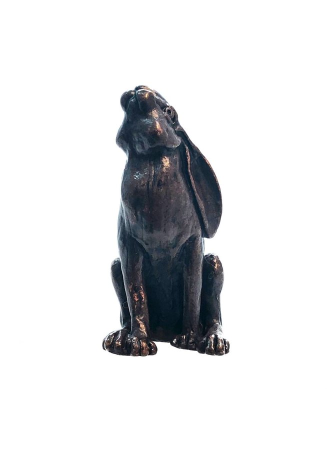 Hare Moon gazing bronze 15