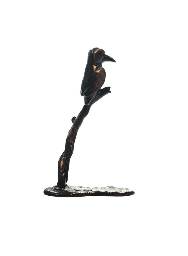 Martín pescador en rama