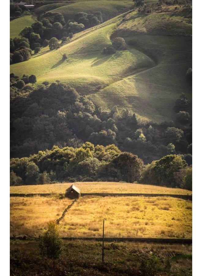 Above Lydgate