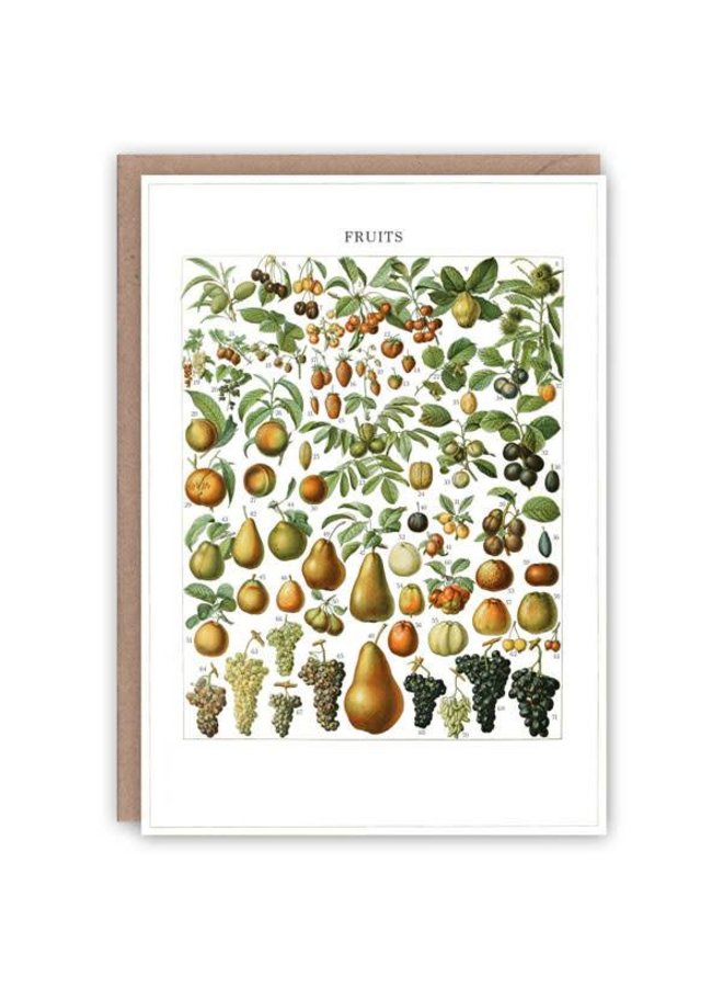 Fruits pattern book card