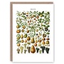 Fruits pattern book card