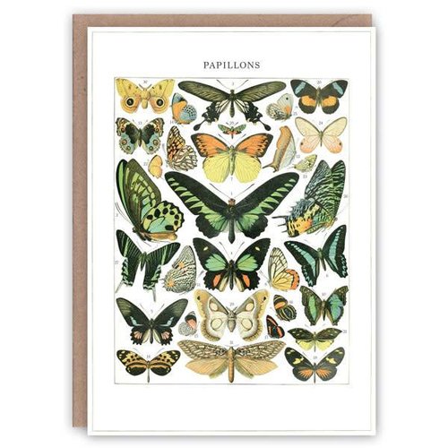 The Pattern Book Papillons patrón de tarjeta de libro The Pattern Book Papillons patrón de tarjeta de libro
