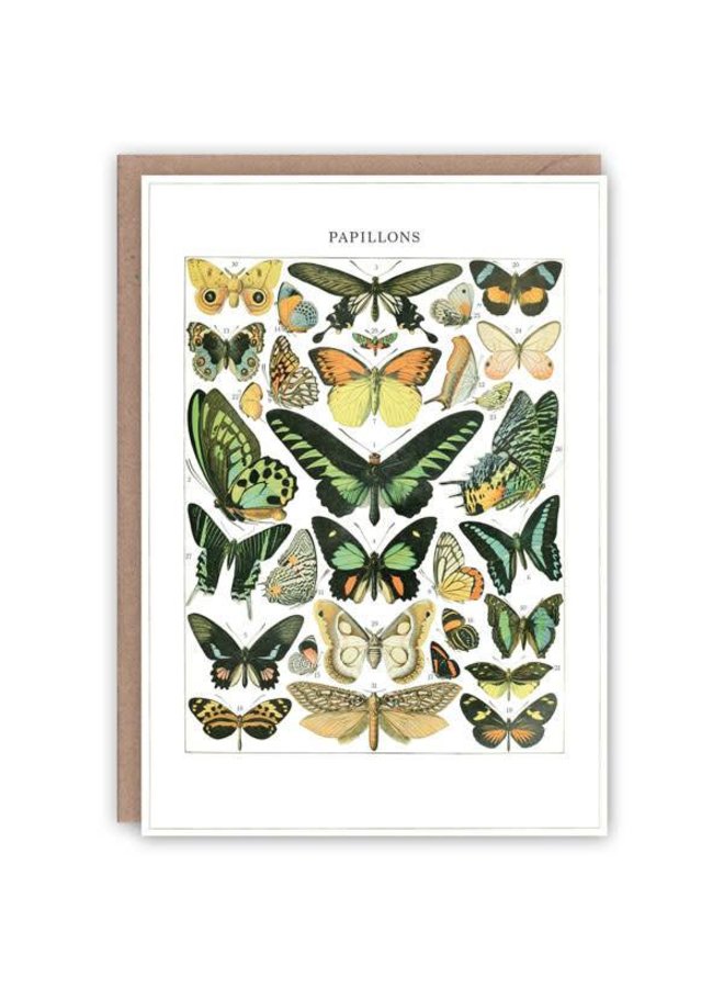 Papillons Musterbuchkarte