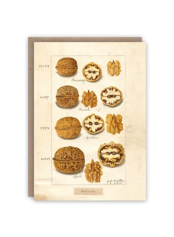 Walnuts pattern book card