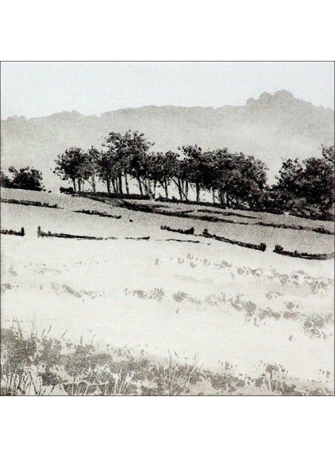 Westfield Farm Wood - etching  005f unframed